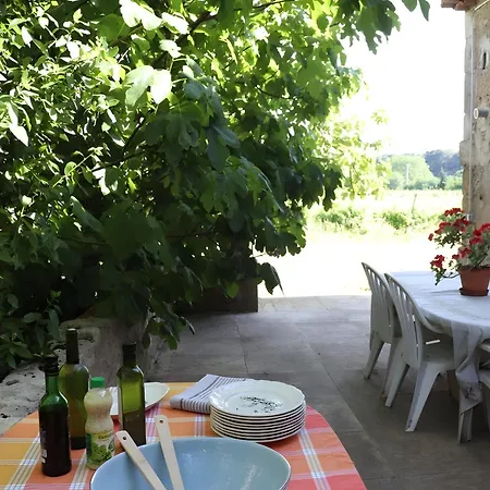 Le Du Petit Verdot